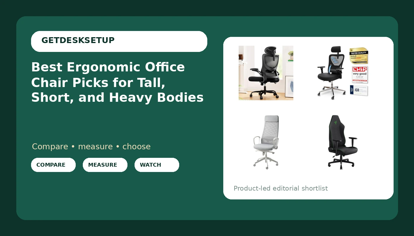 Best Ergonomic Office Chair Picks for Tall, Short, and Heavy Bodies